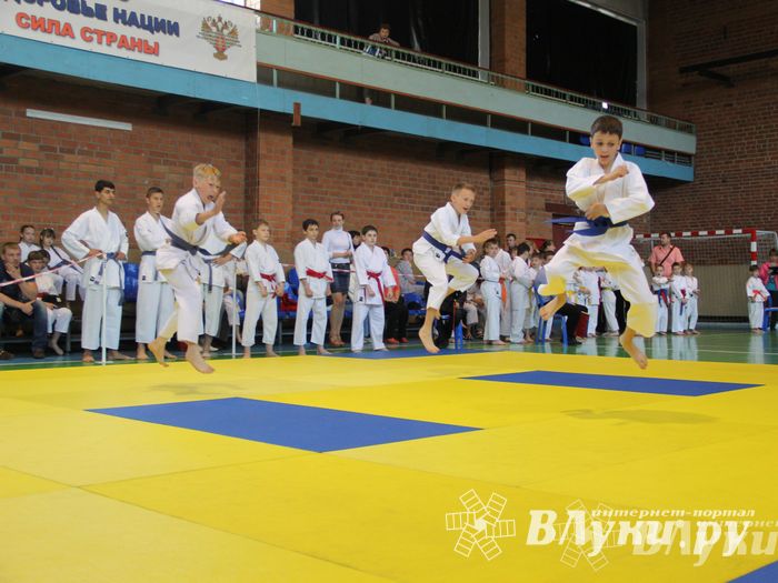 Великолучане стали победителями турнира по каратэ «Неприкосновенный запас, дети — Отчизны 2015» (фото)