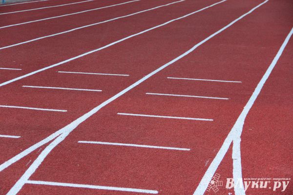 Школьники из Куньи представят Псковскую область на всероссийских соревнований