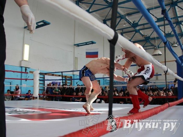 Чемпионат Псковской области по ММА