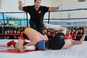 Чемпионат Псковской области по ММА
