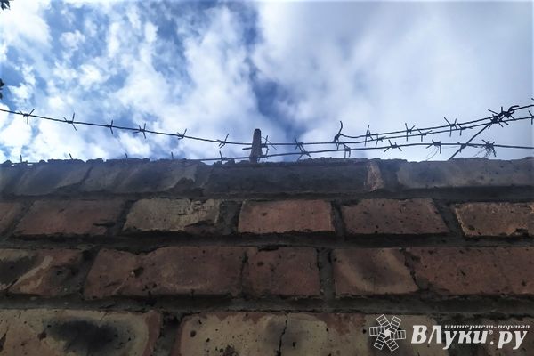 Житель Великолукского района отправлен в колонию строгого режима за сбыт наркотиков