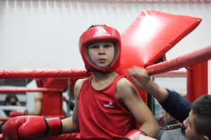 Открытое первенство по боксу прошло в Великих Луках (ФОТО)