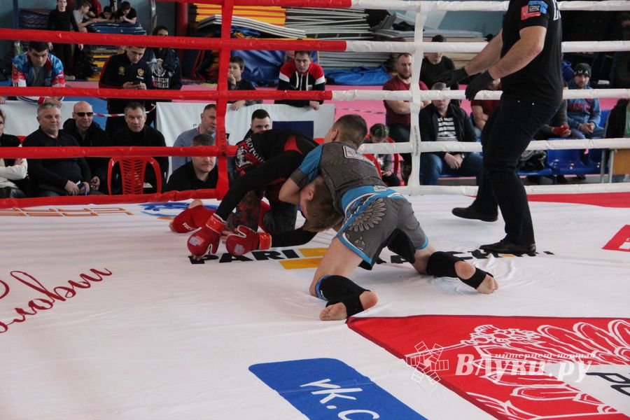Открытый кубок по смешанному боевому единоборству ММА прошел в Великих Луках (ФОТО)