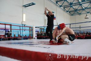 Чемпионат Псковской области по ММА