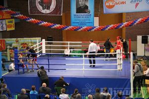 16-й Международный турнир по боксу (фото)
