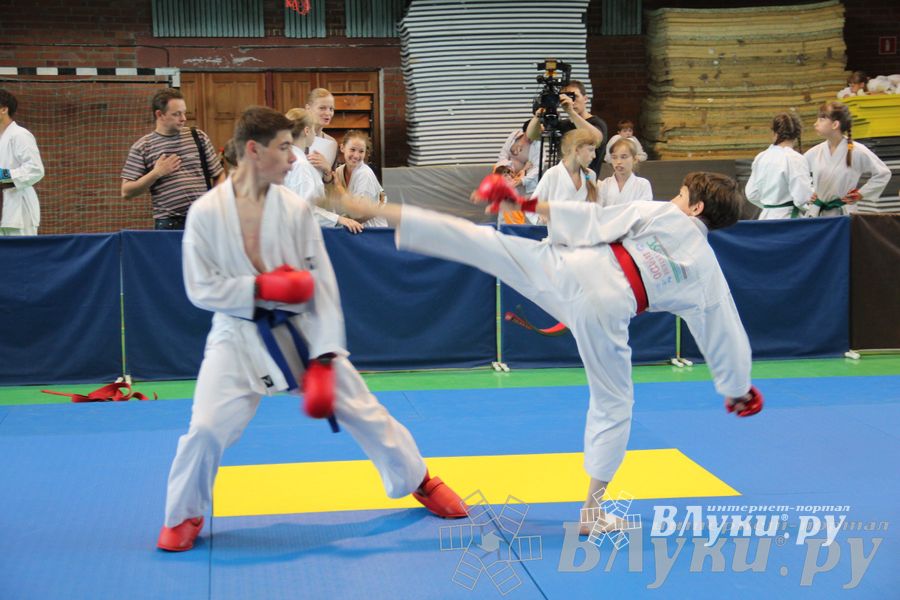 Турнир по каратэ «Неприкосновенный запас — дети Отчизны»