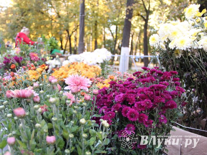 Торговая ярмарка «Осень-2016» прошла в Великих Луках (ФОТО)