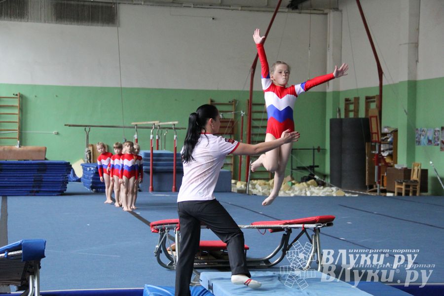 В Великих Луках состоялось Первенство по командной гимнастике (фото)