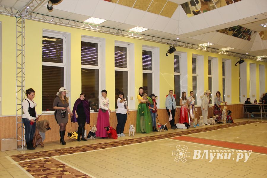 Всероссийская выставка собак в Великих Луках (фото)