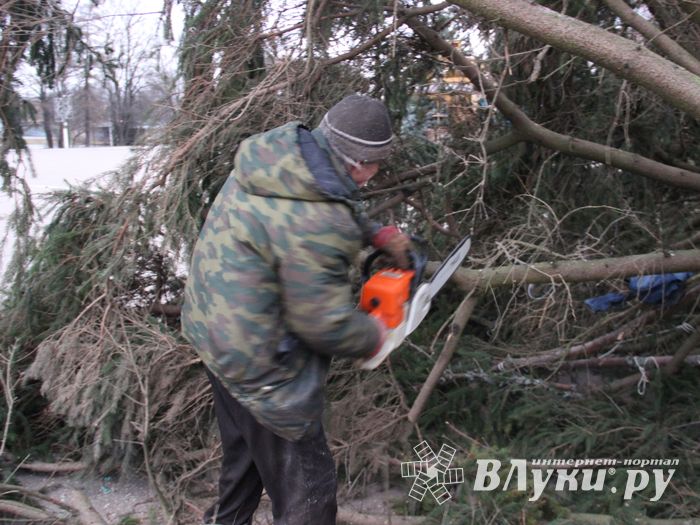 Необычное украшение сняли с главной ёлки Великих Лук (ФОТО)