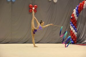 В Великих Луках прошли соревнования на Кубок Псковской области по художественной гимнастике (ФОТО)