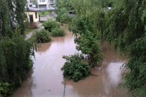 Великолучан попросил губернатора помощи, чтобы «попасть домой» (ФОТО)