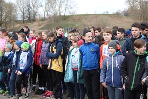 В Великих Луках прошёл легкоатлетический кросс (ФОТО)