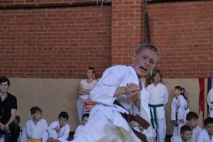 Турнир по каратэ