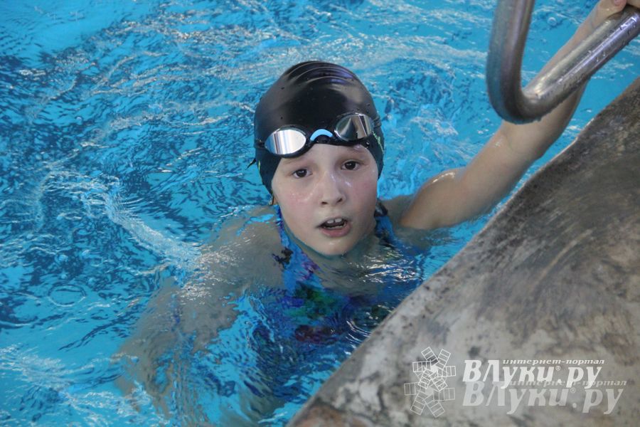 В Великих Луках прошли соревнования по плаванию «Весёлый дельфин»