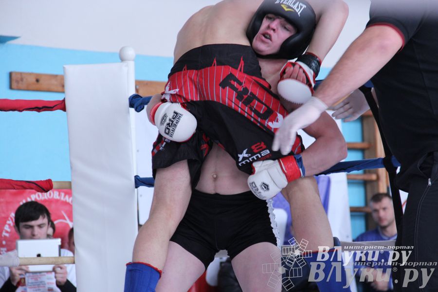 Открытый Кубок города Великие Луки по смешанному боевому единоборству (ММА)