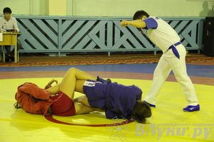 Всероссийский турнир по самбо