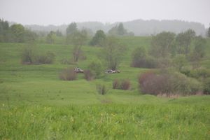 Кураж (ФОТО)