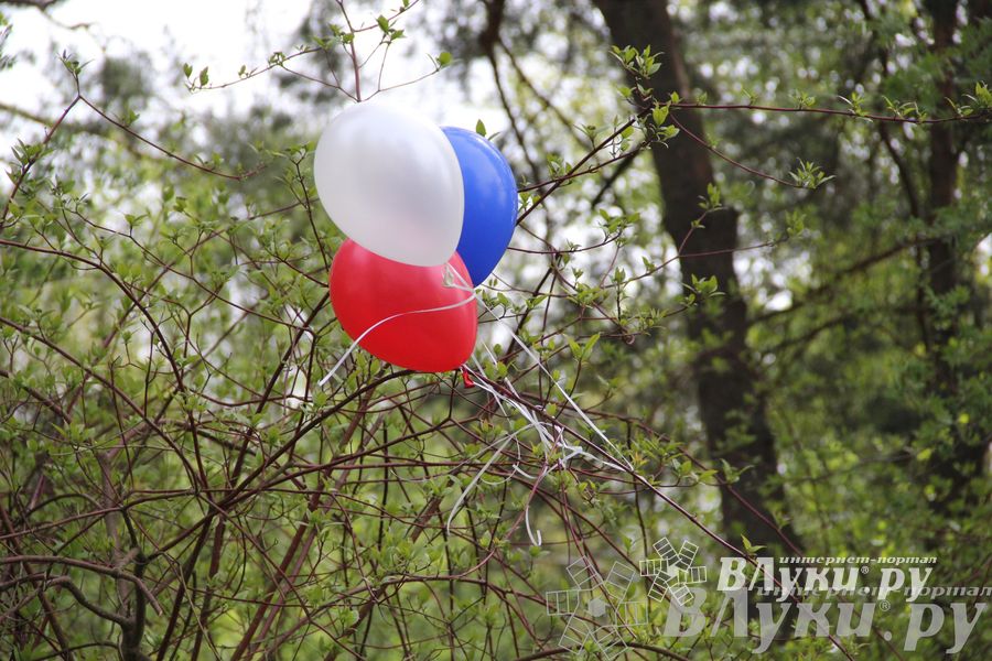 Праздник фронтовой поэзии «А музы не молчат» состоялся в Борках