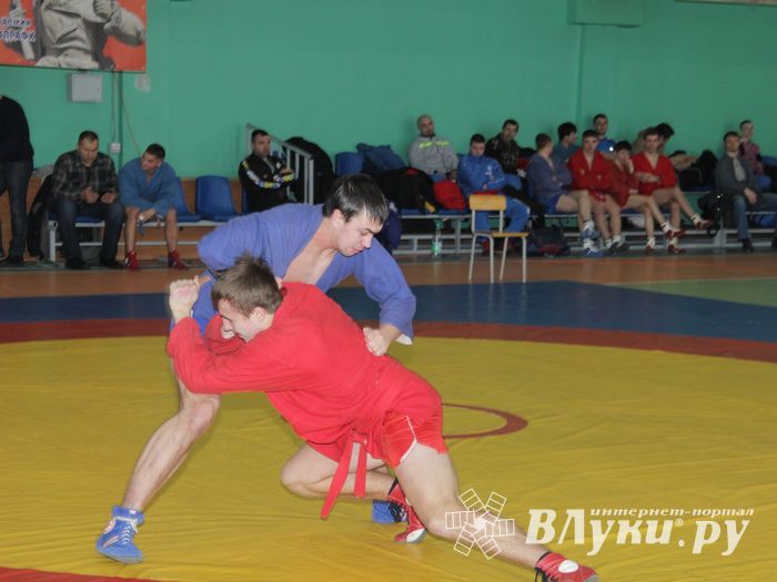 В Великих Луках прошел турнир по самбо, посвященный подвигу Александра Матросова (ФОТО)