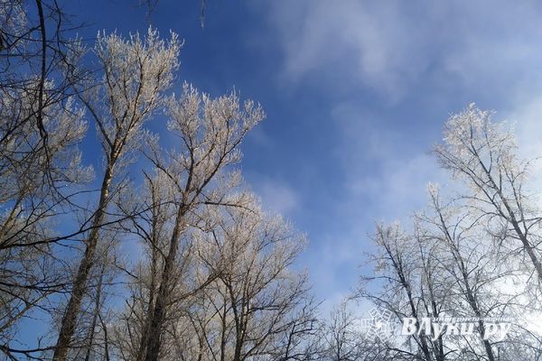 В Гидрометцентре рассказали о погоде в начале февраля