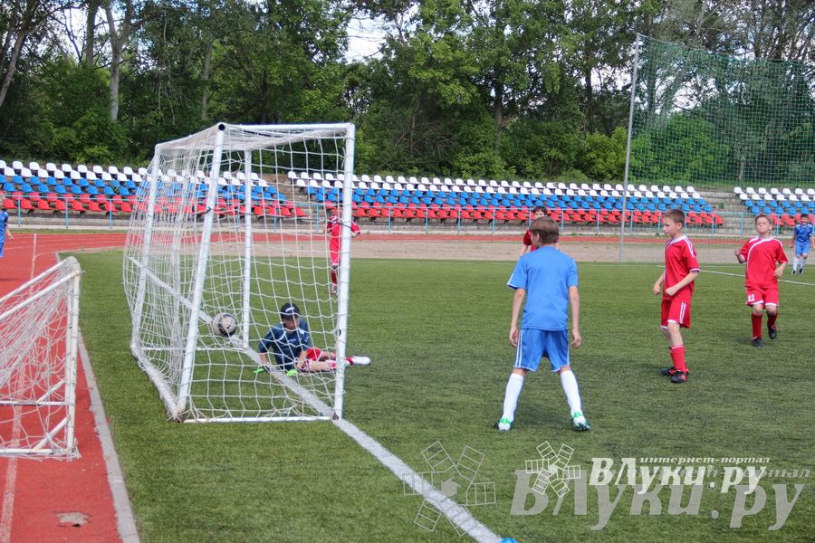 «Локобол-2013» в Великих Луках