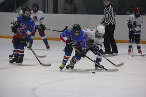 В Великих Луках прошел детский Открытый турнир по хоккею (ФОТО)