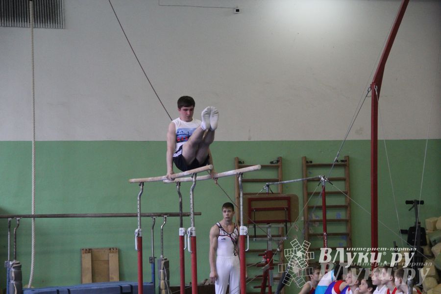 В Великих Луках прошел турнир по спортивной гимнастике (фото)