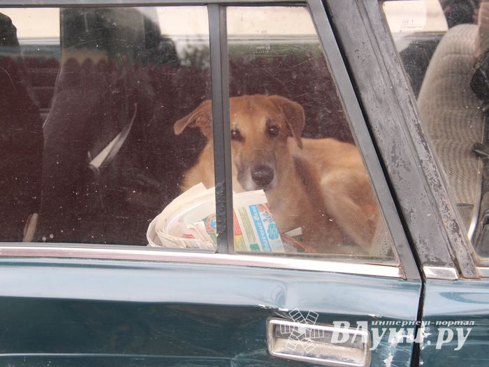 В Великих Луках девушка перевернулась на «Subaru» (ФОТО)