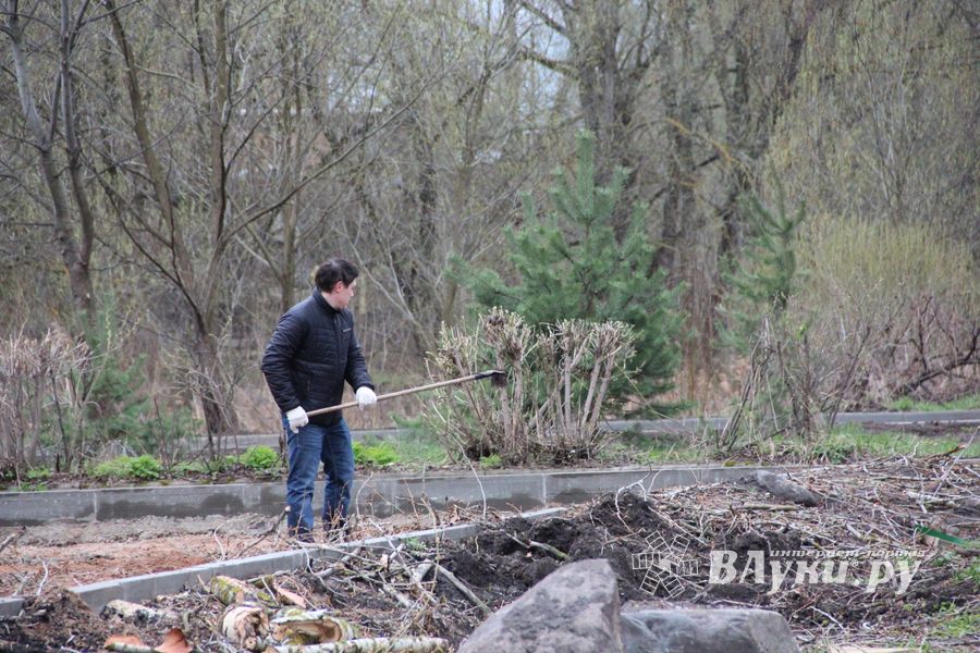 На острове Дятлинка проходит субботник