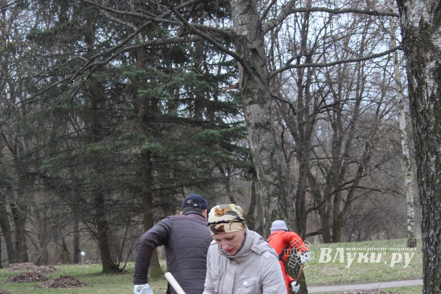 Городские СМИ провели субботник (ФОТО)