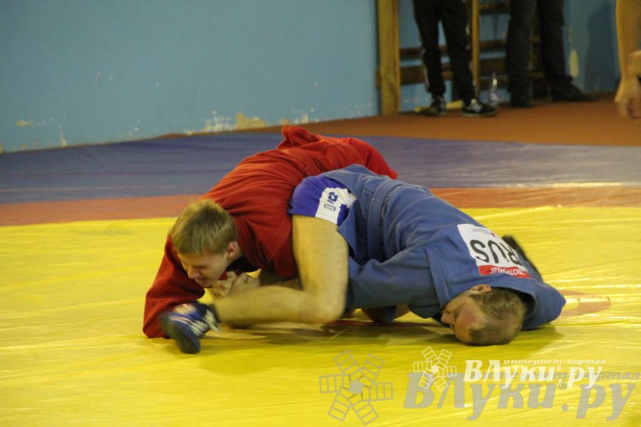 Всероссийский турнир по самбо