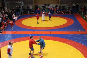 В Великих Луках проходит турнир самбистов (ФОТО)