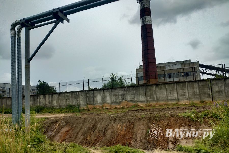 Дом великолучанки отрезали от внешнего мира (ФОТО)