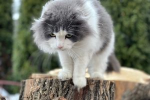©ВЛуки.ру