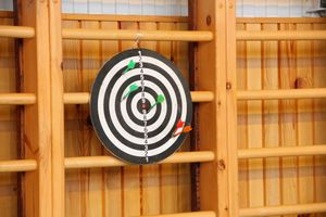 Великолучане одержали победу в зональном этапе «Папа, мама, я – спортивная семья» (ФОТО)