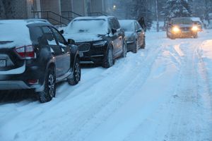 Великие Луки заносит снегом (фото)