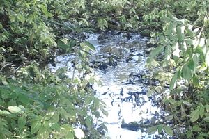 Авария в сетях канализации пока не поддаётся ремонтникам (ФОТО)