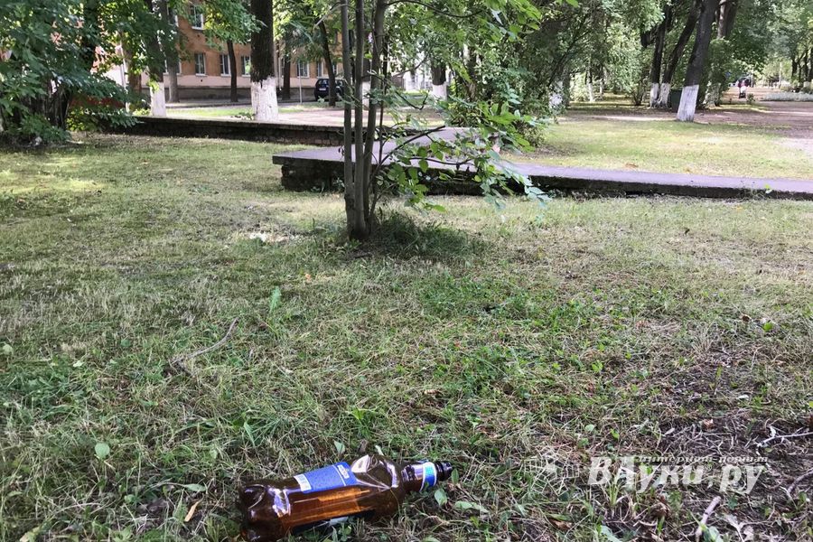 Парк Пушкина: «... А вкруг меня глухое запустенье...» (ФОТО)