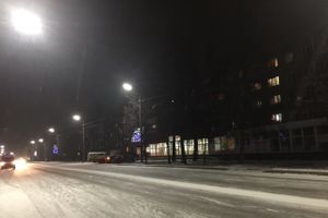 Великолукских белок не выдерживают уличные столбы (ФОТО)