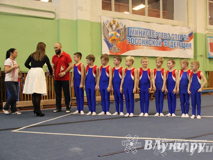 В Великих Луках состоялось Первенство по командной гимнастике (фото)