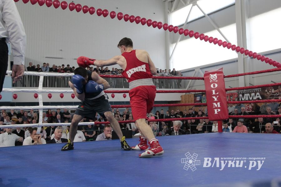 Матчевая встреча по боксу Великие Луки —Псков — Грозный (ФОТО)