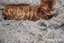 Прогноз погоды в Великих Луках на 17 февраля