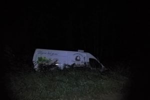 В Великолукском районе лось спровоцировал ДТП (ФОТО)