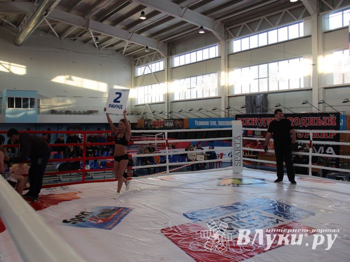 В Великих Луках завершился открытый кубок по смешанному боевому единоборству ММА (ФОТО)