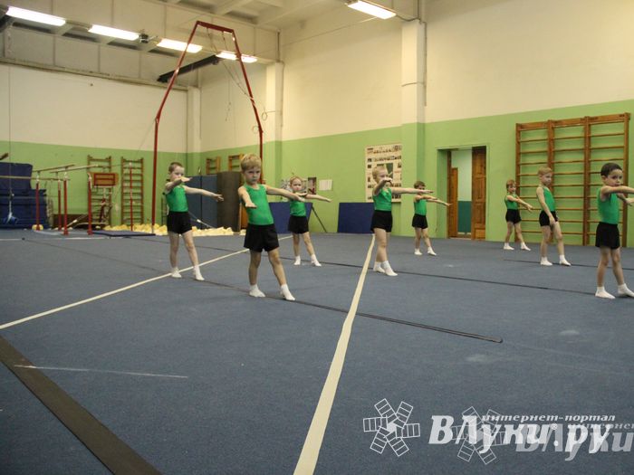 В Великих Луках состоялось Первенство по командной гимнастике (фото)