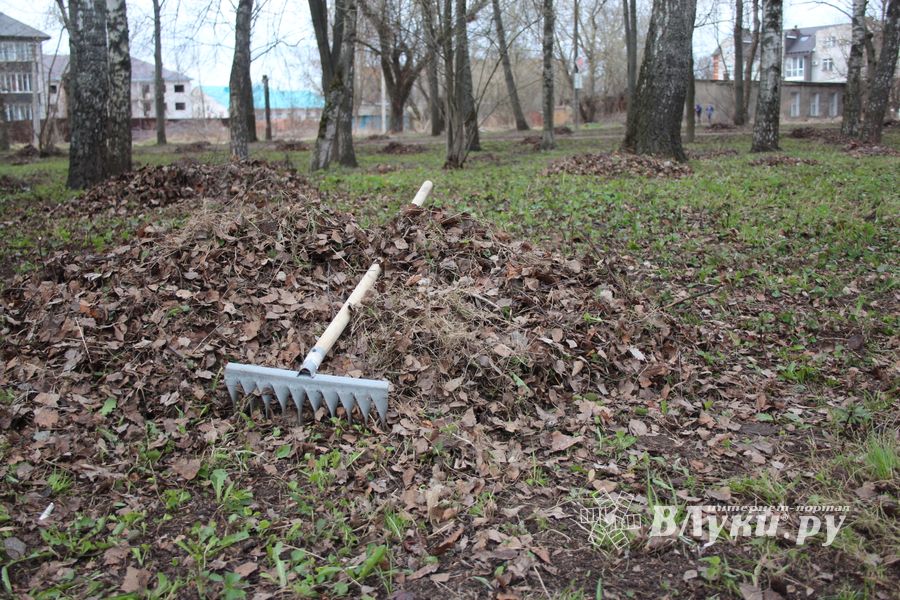 Городские СМИ провели субботник (ФОТО)