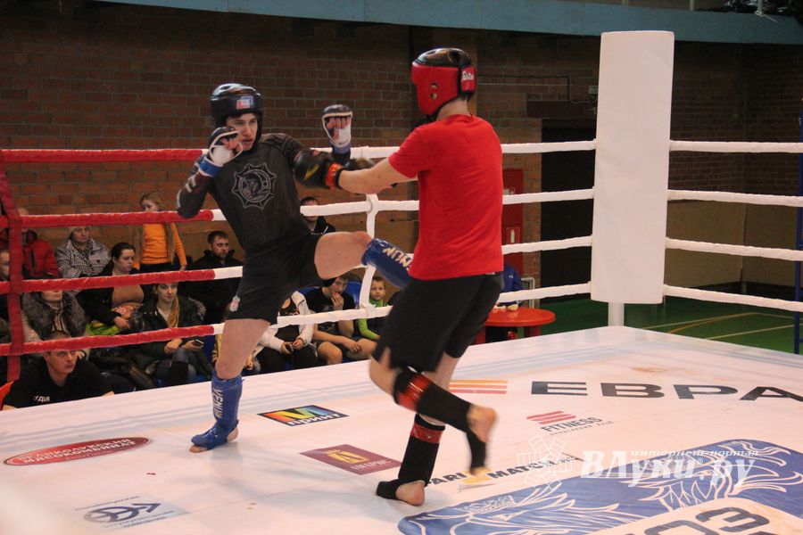 В Великих Луках прошел международный открытый Кубок по смешанному боевому единоборству (ФОТО) (16+)