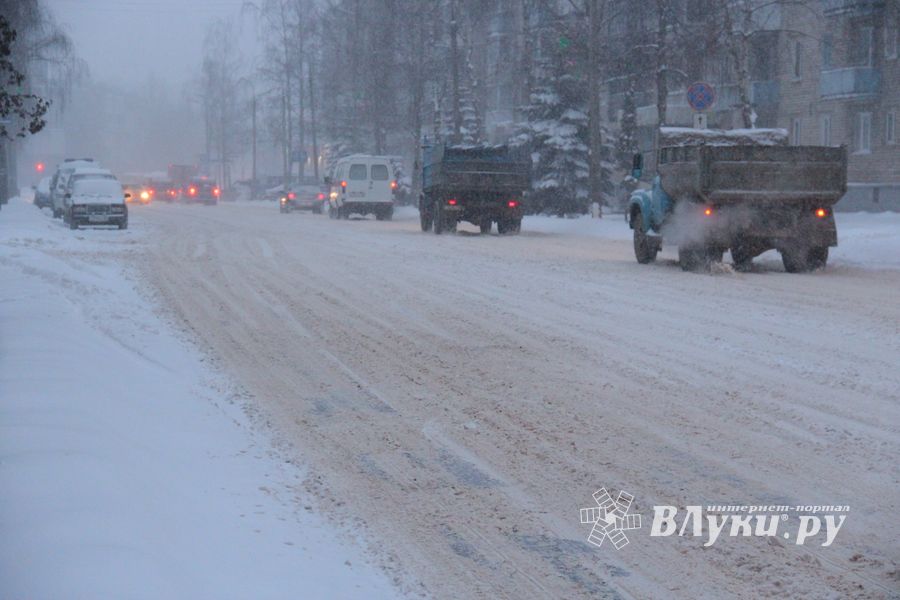 Великие Луки заносит снегом (фото)