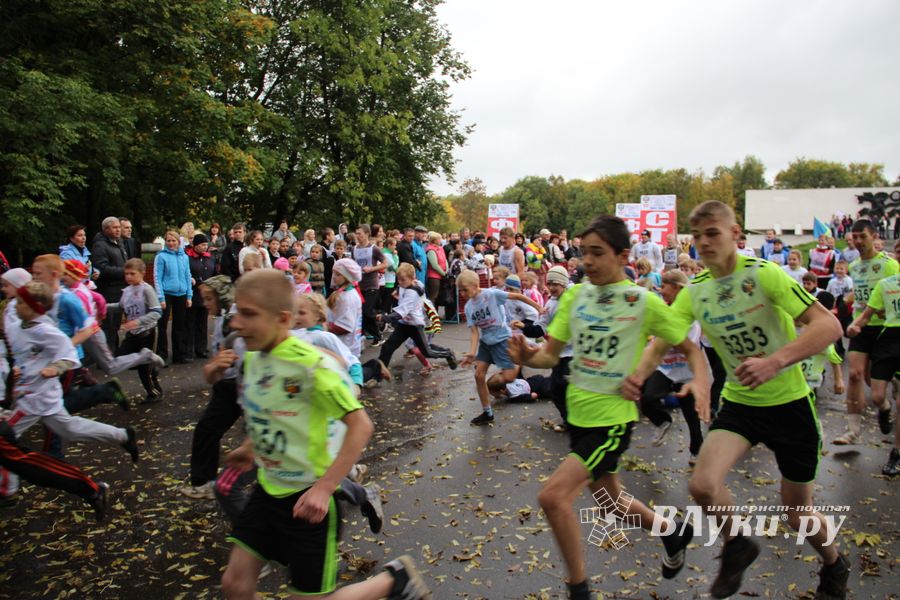 Кросс наций 2012